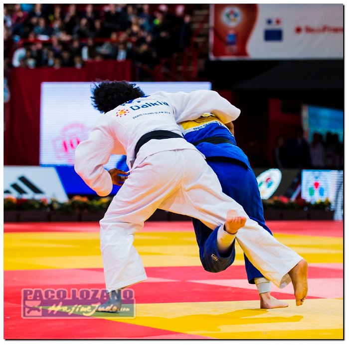 Paris 2014 by P.Lozano cat -78 kg_PLM4458